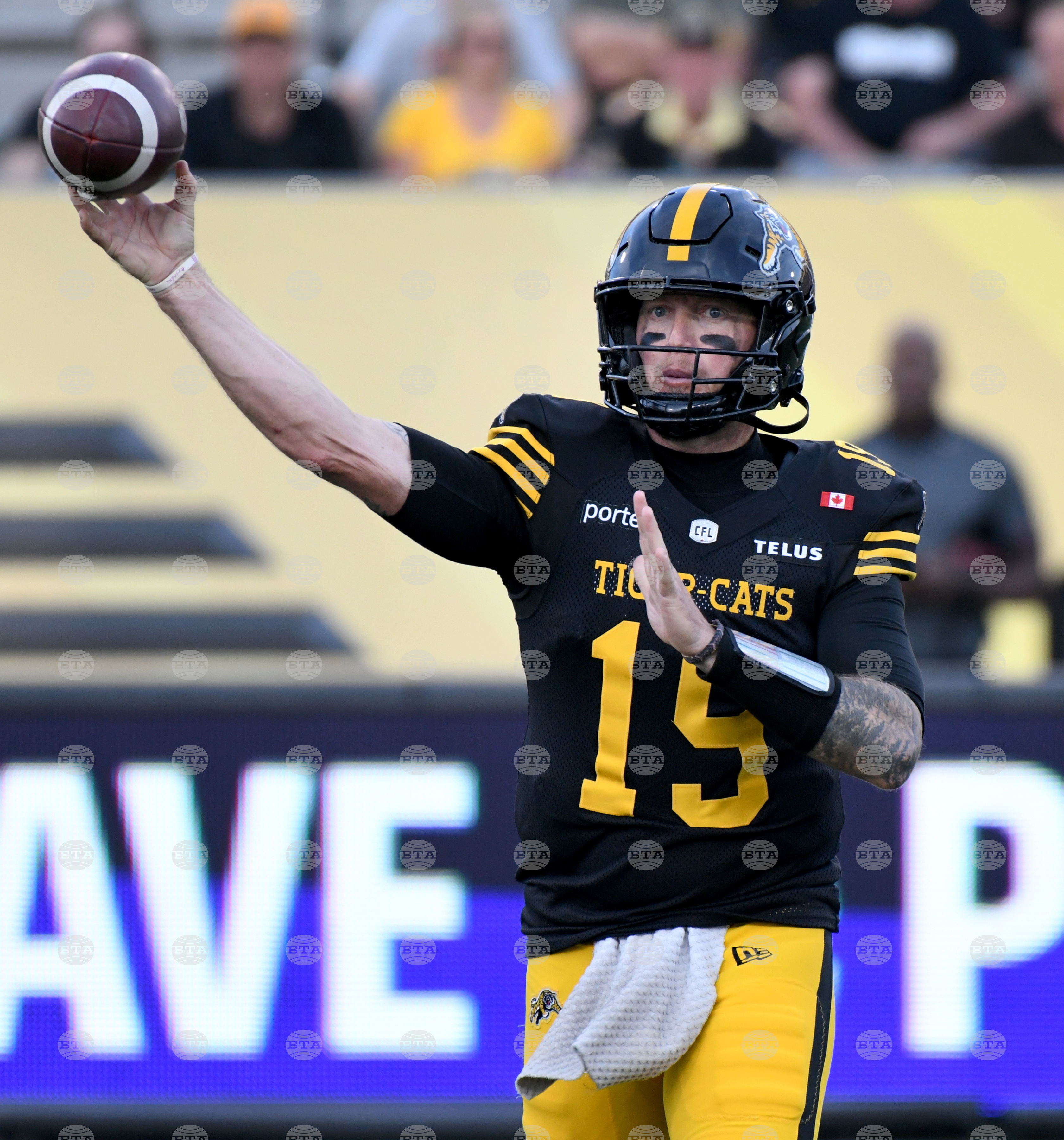 CFL Alouettes Tiger Cats Football