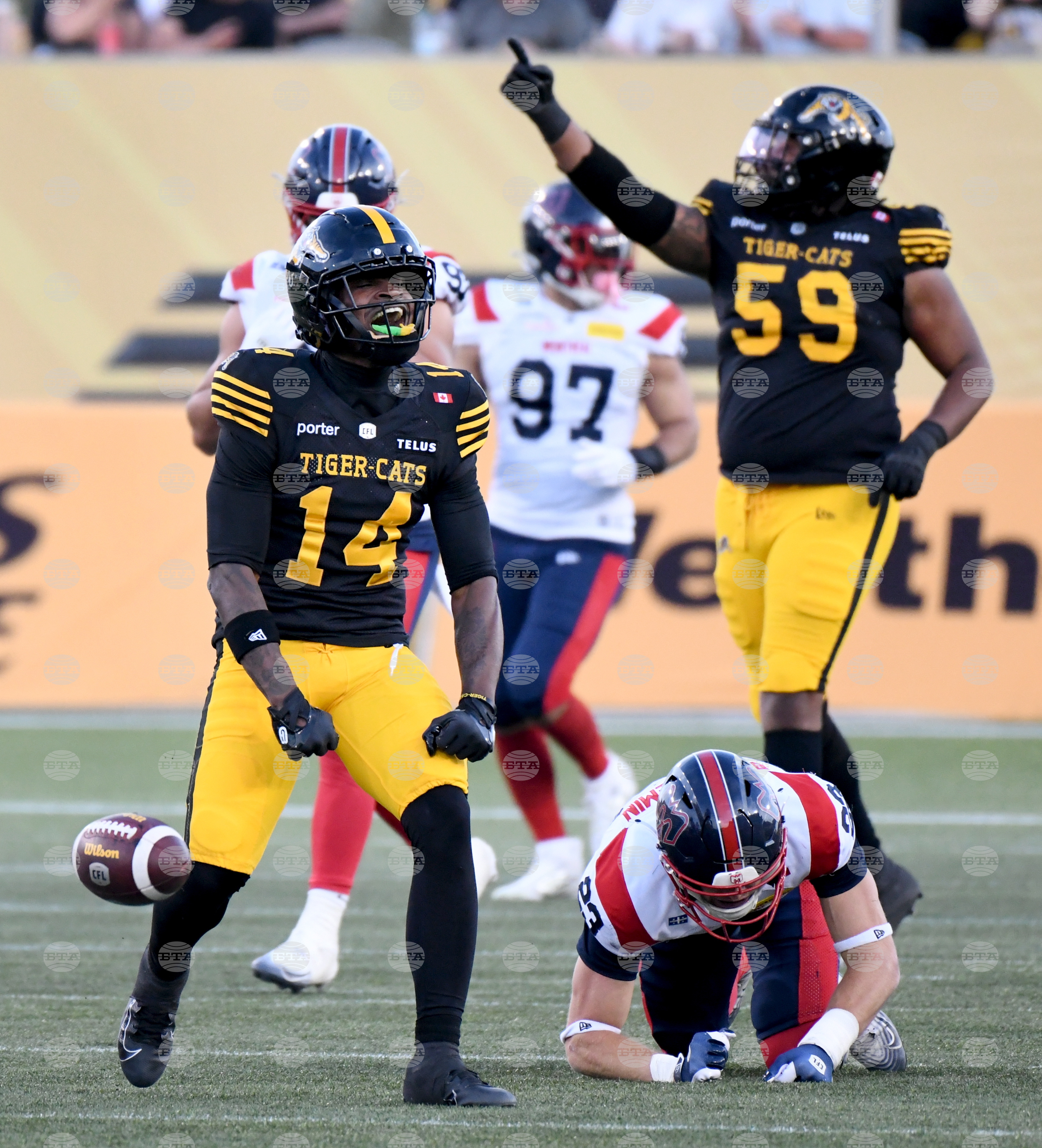 Alouettes Tiger Cats Football