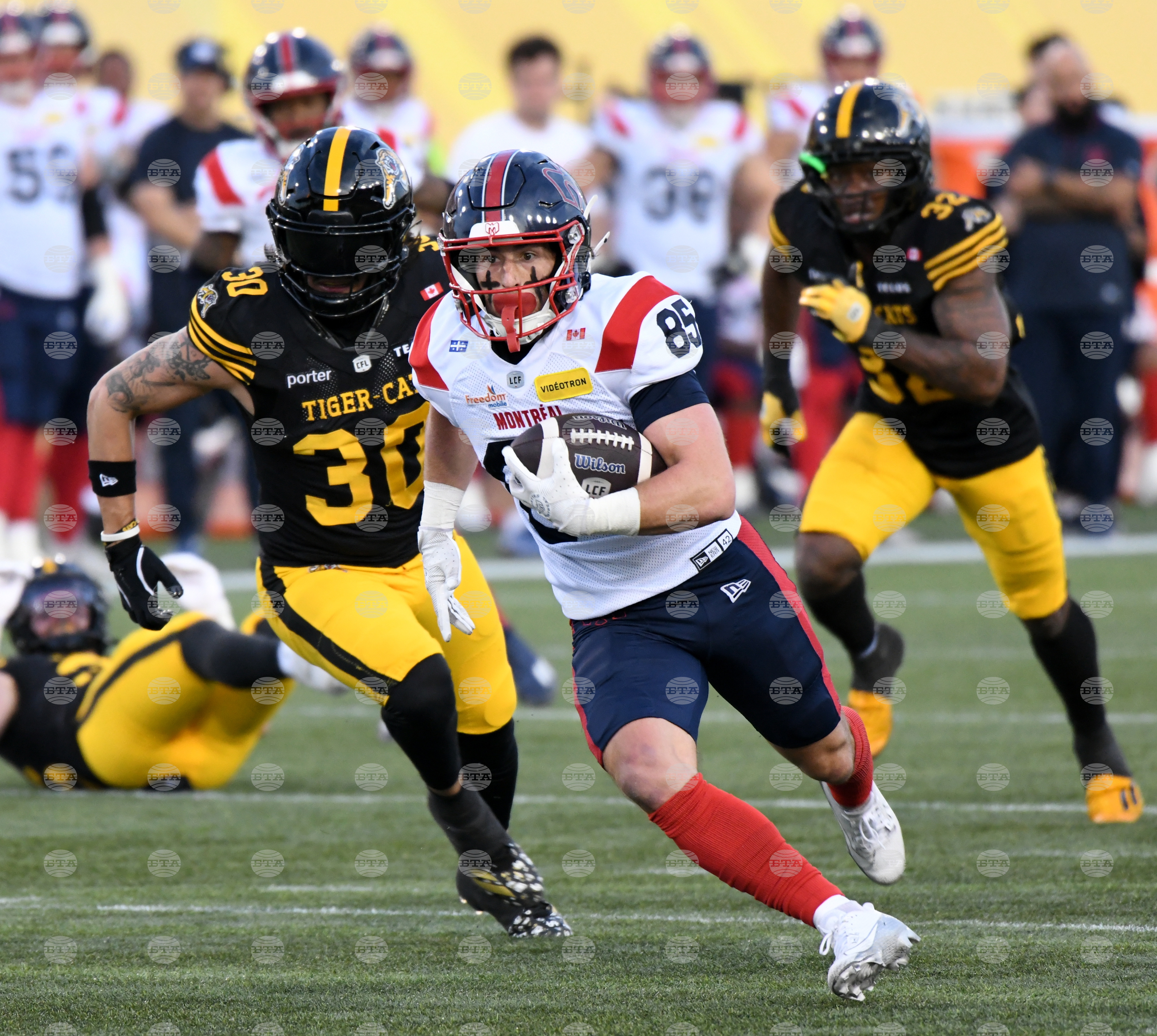 CFL Alouettes Tiger Cats Football
