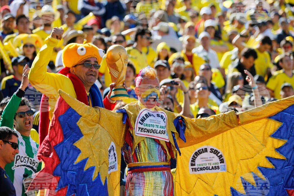 WCup Superfans Soccer