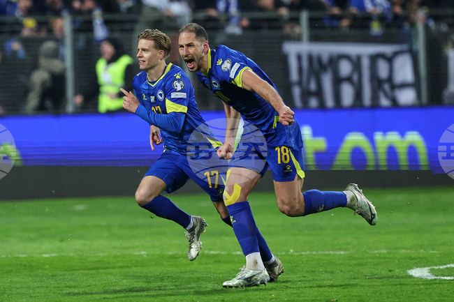 Bosnia in America WCup Soccer