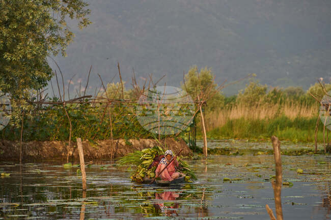 India Kashmir Daily Life