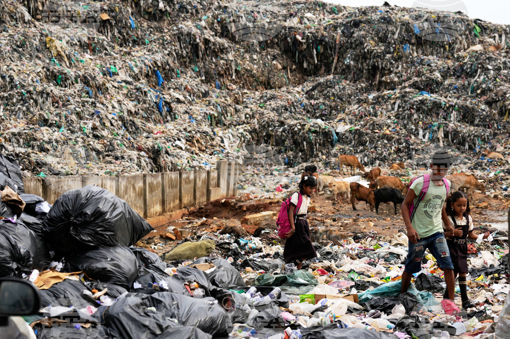 India World Environment Day