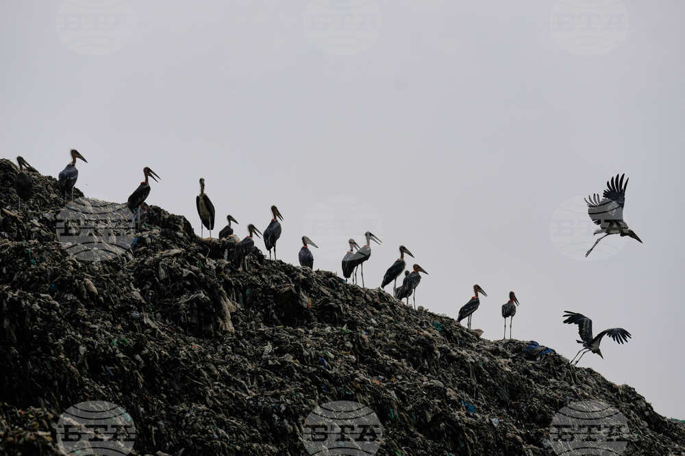 India World Environment Day