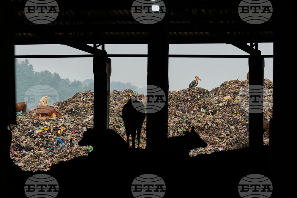 APTOPIX India World Environment Day