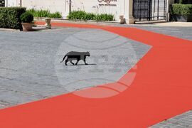 Черна гора - ЕС - Западни Балкани - форум