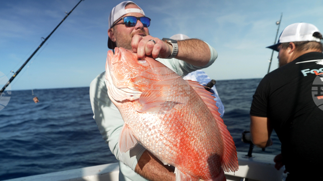 Oceans Fisheries Red Snapper Fight