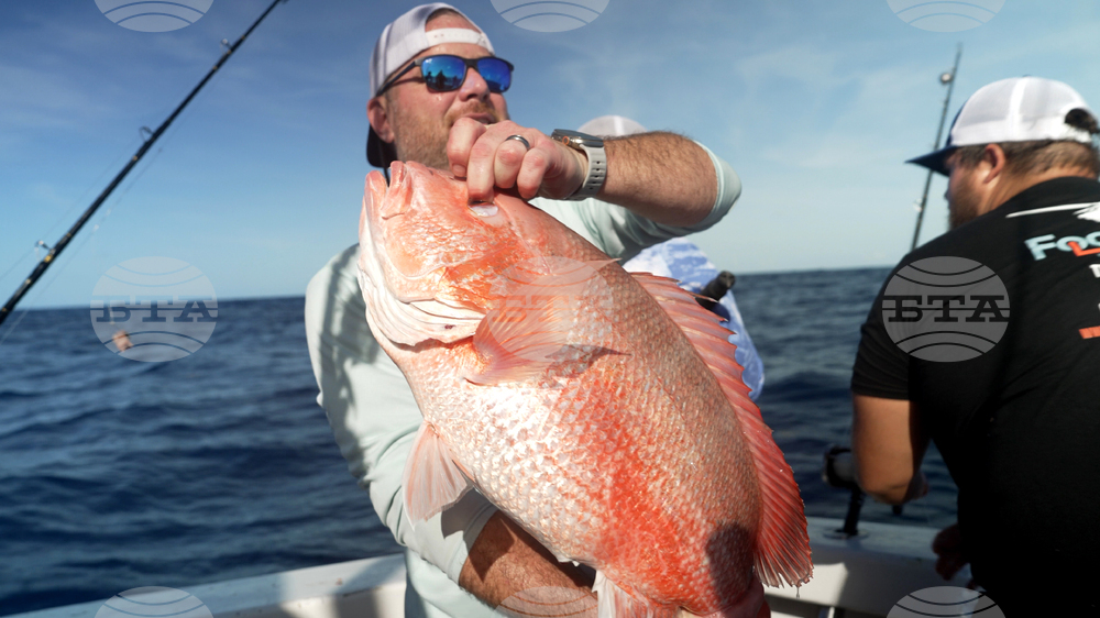 Oceans Fisheries Red Snapper Fight