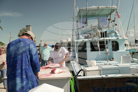 Oceans Fisheries Red Snapper Fight