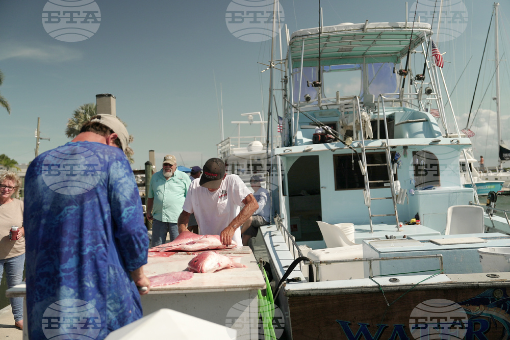 Oceans Fisheries Red Snapper Fight