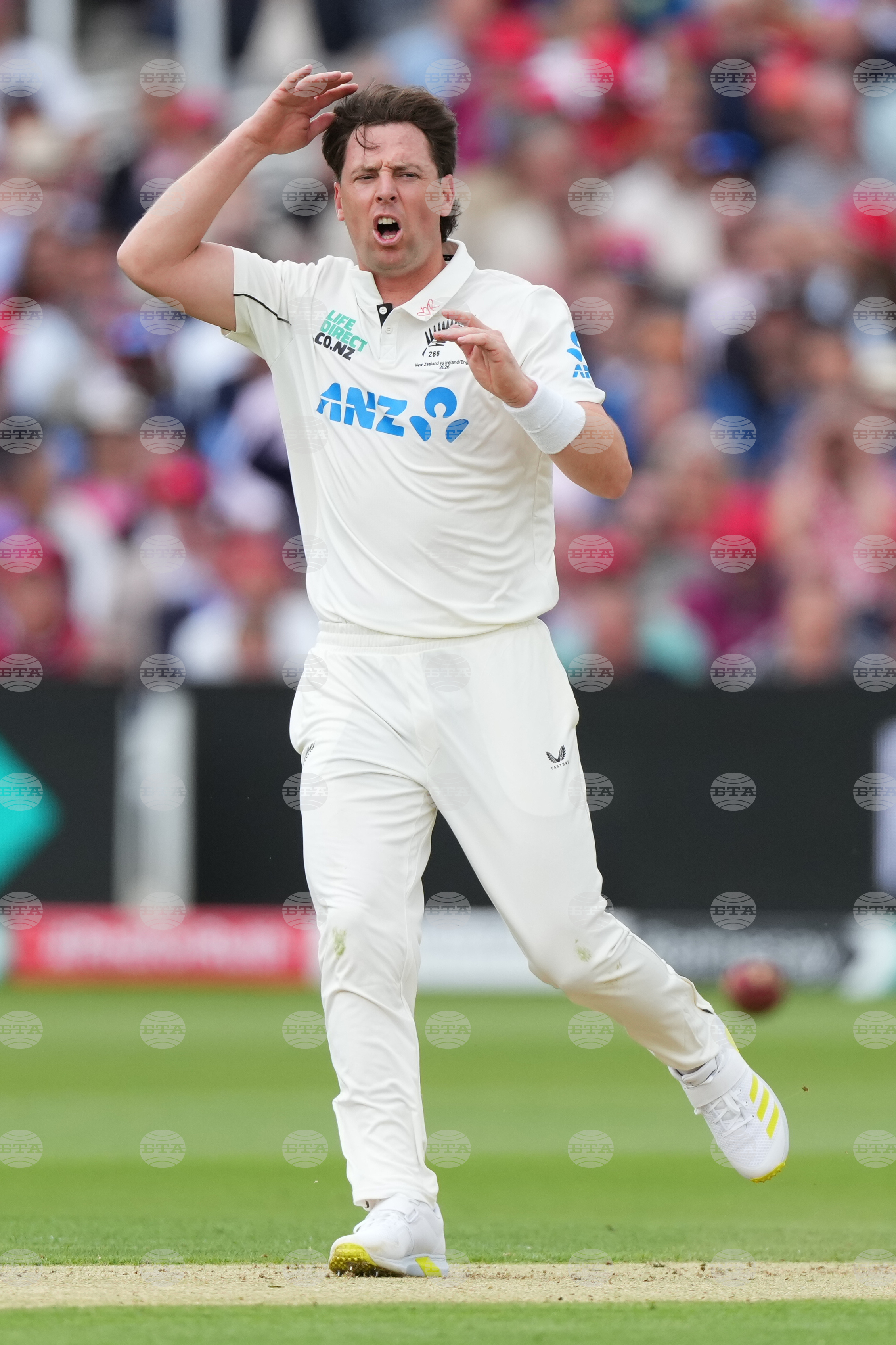 Britain England New Zealand Cricket