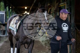 Belmont Stakes Horse Racing