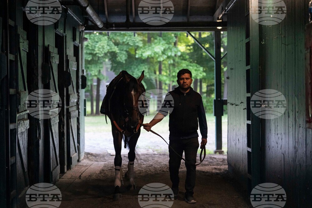 Belmont Stakes Horse Racing