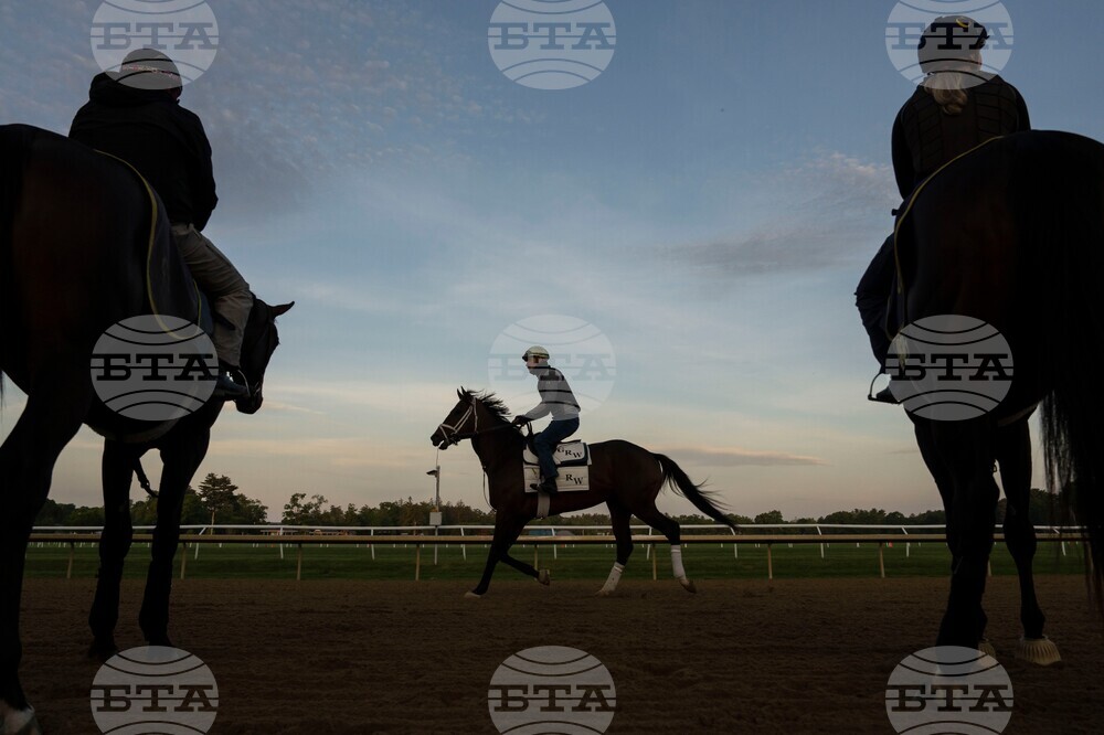 Belmont Stakes Horse Racing