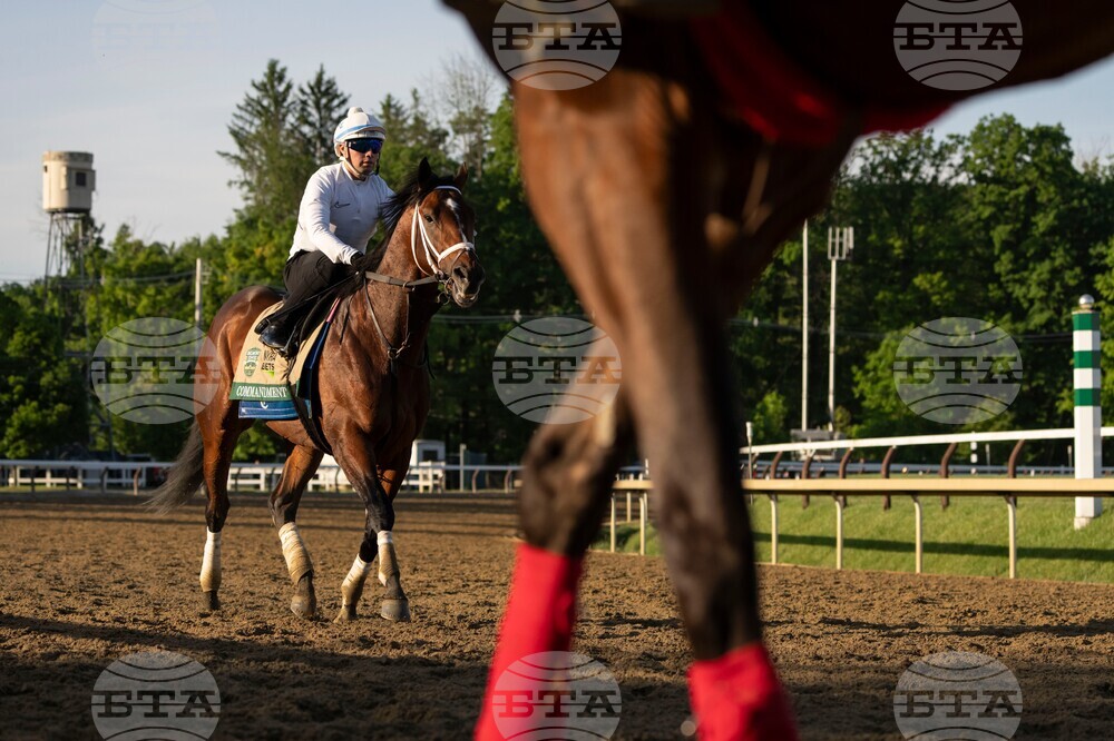 Belmont Stakes Horse Racing
