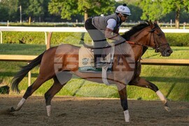 Belmont Stakes Horse Racing