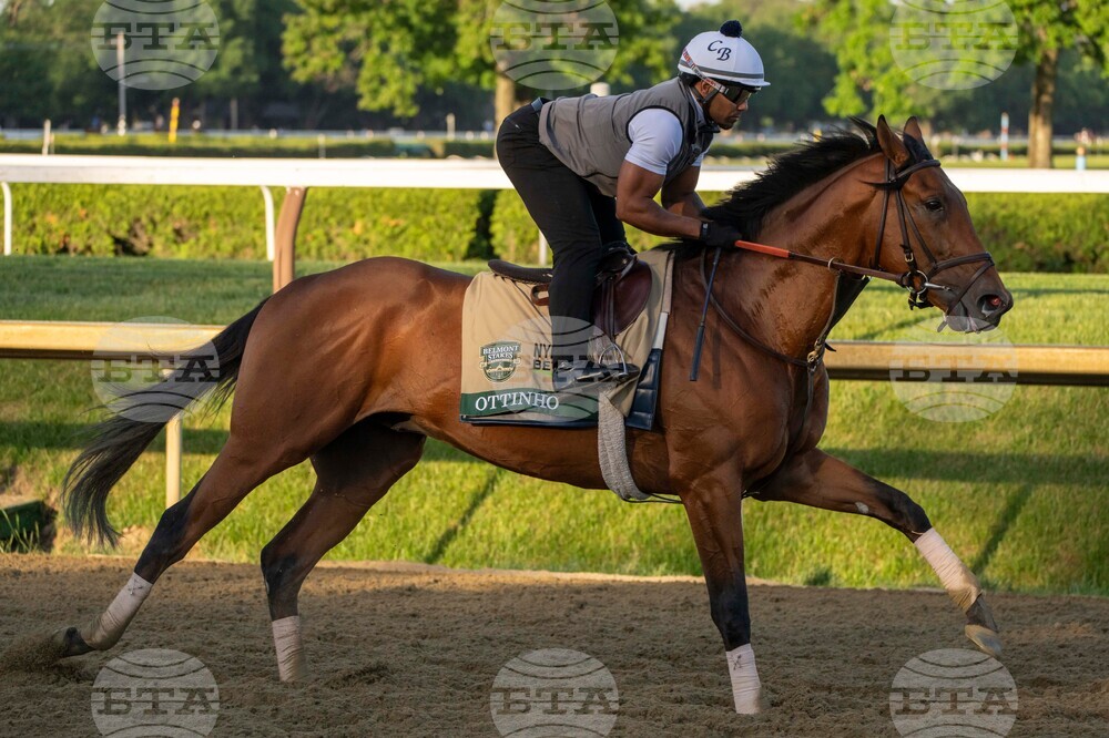 Belmont Stakes Horse Racing
