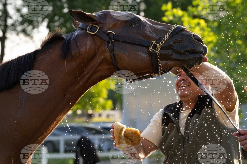 Belmont Stakes Horse Racing