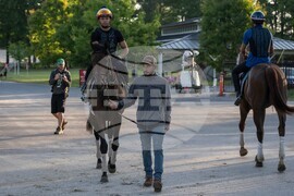 Belmont Stakes Horse Racing