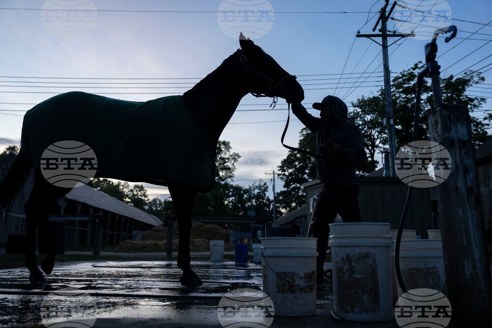 Belmont Stakes Horse Racing