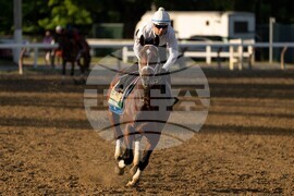 Belmont Stakes Horse Racing