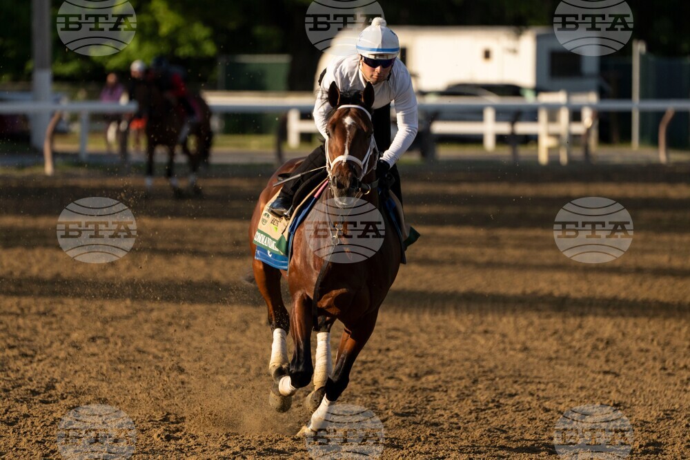 Belmont Stakes Horse Racing