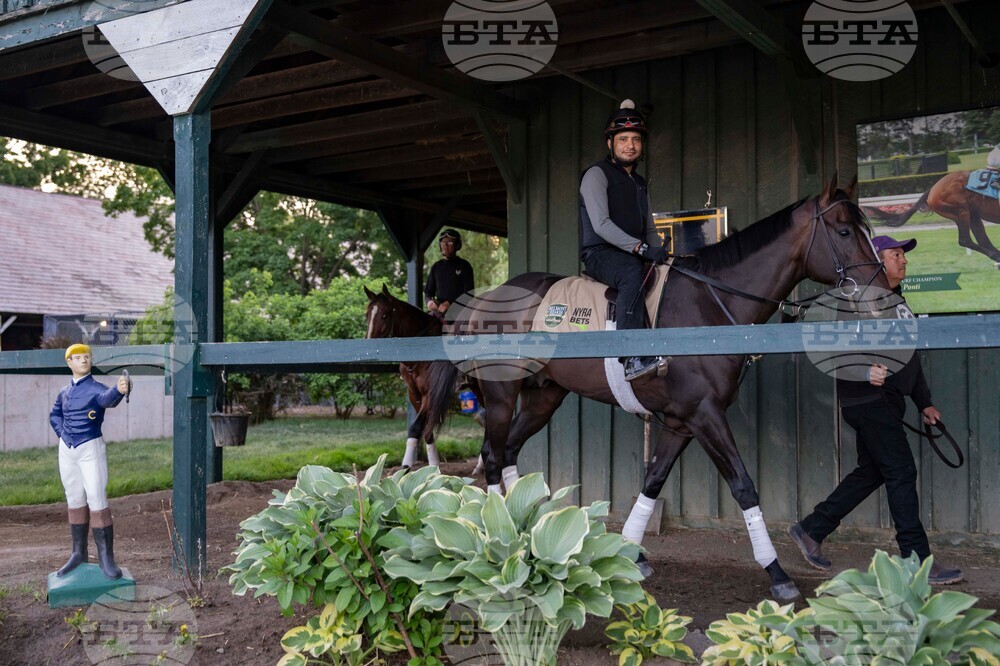 Belmont Stakes Horse Racing