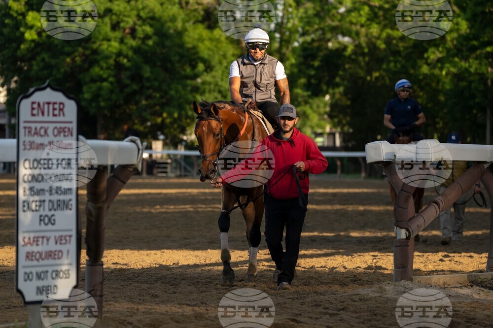 Belmont Stakes Horse Racing