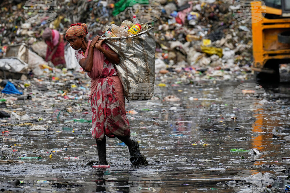 APTOPIX India World Environment Day