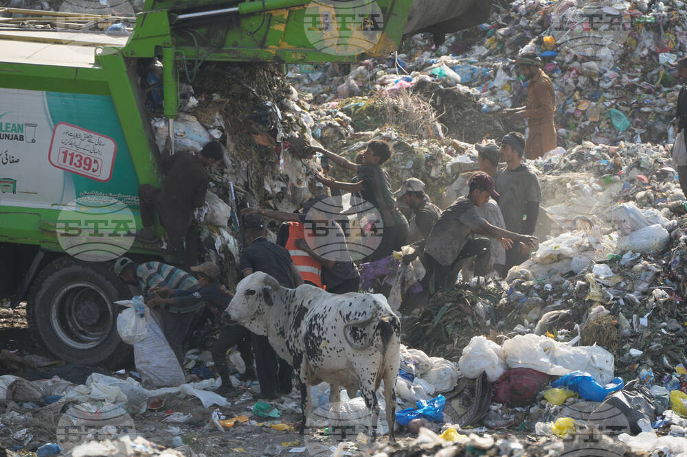 Pakistan Environment Day