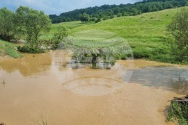 Село Илийно - местно дере - пълноводие