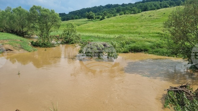 Село Илийно - местно дере - пълноводие