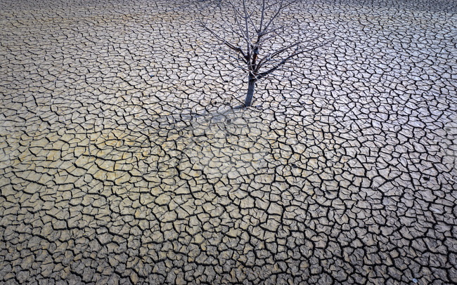 Еврокомисията отпуска близо 99 милиона евро спешна подкрепа за земеделските стопани в Испания, Хърватия, Кипър, Латвия и Унгария