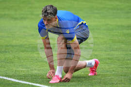WCup Bosnia In America Soccer