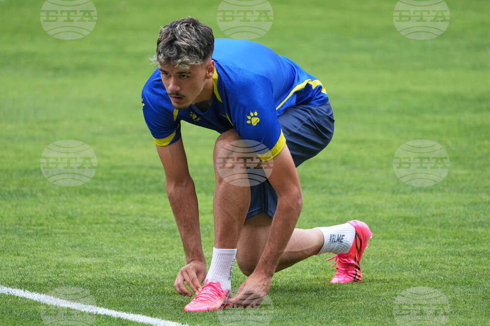 WCup Bosnia In America Soccer