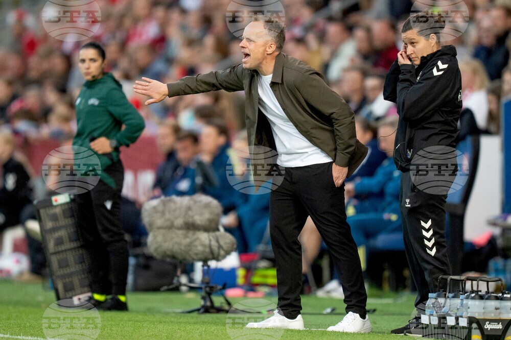 Denmark Sweden Soccer