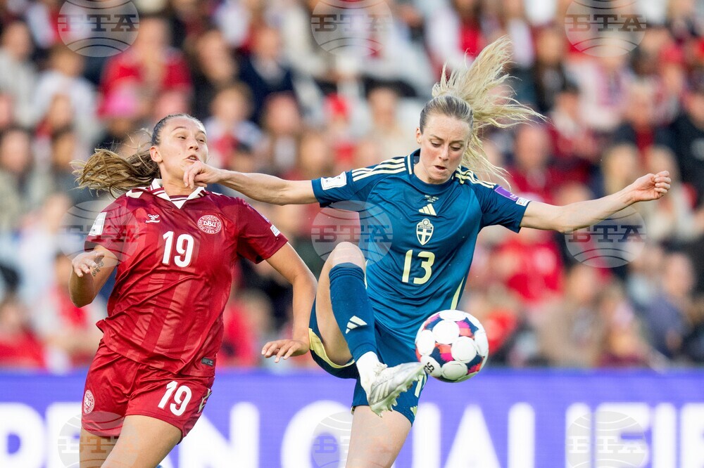 Denmark Sweden Soccer