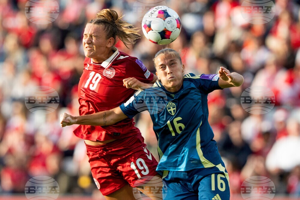 Denmark Sweden Soccer