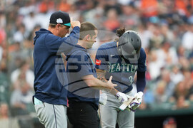 Mariners Tigers Baseball
