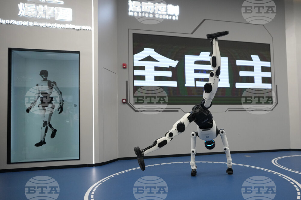China Humanoid Robots