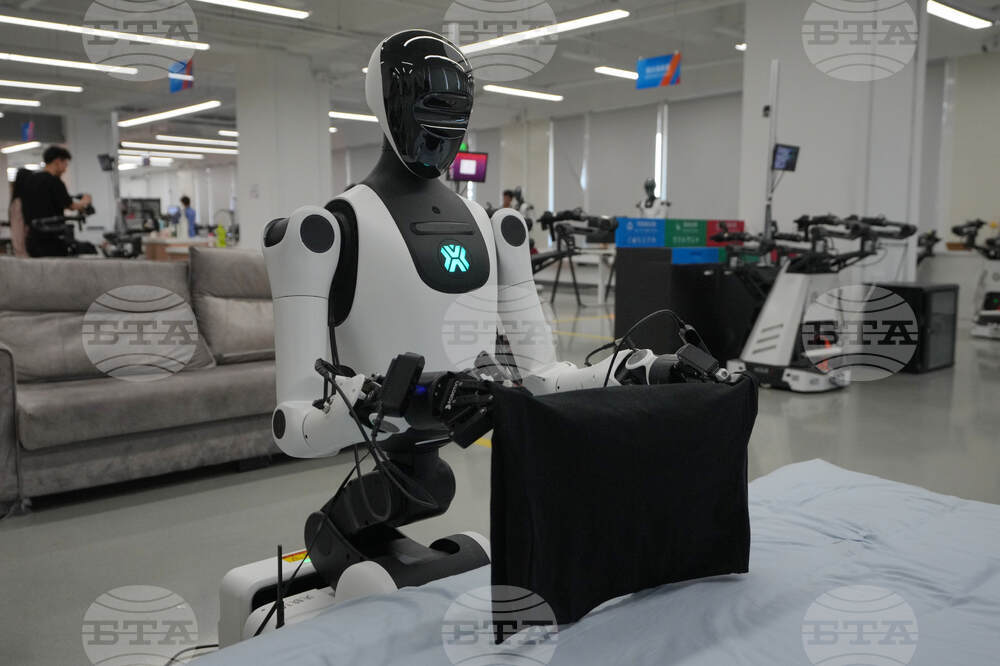China Humanoid Robots