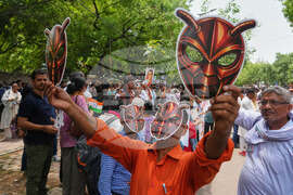 India Cockroach Party