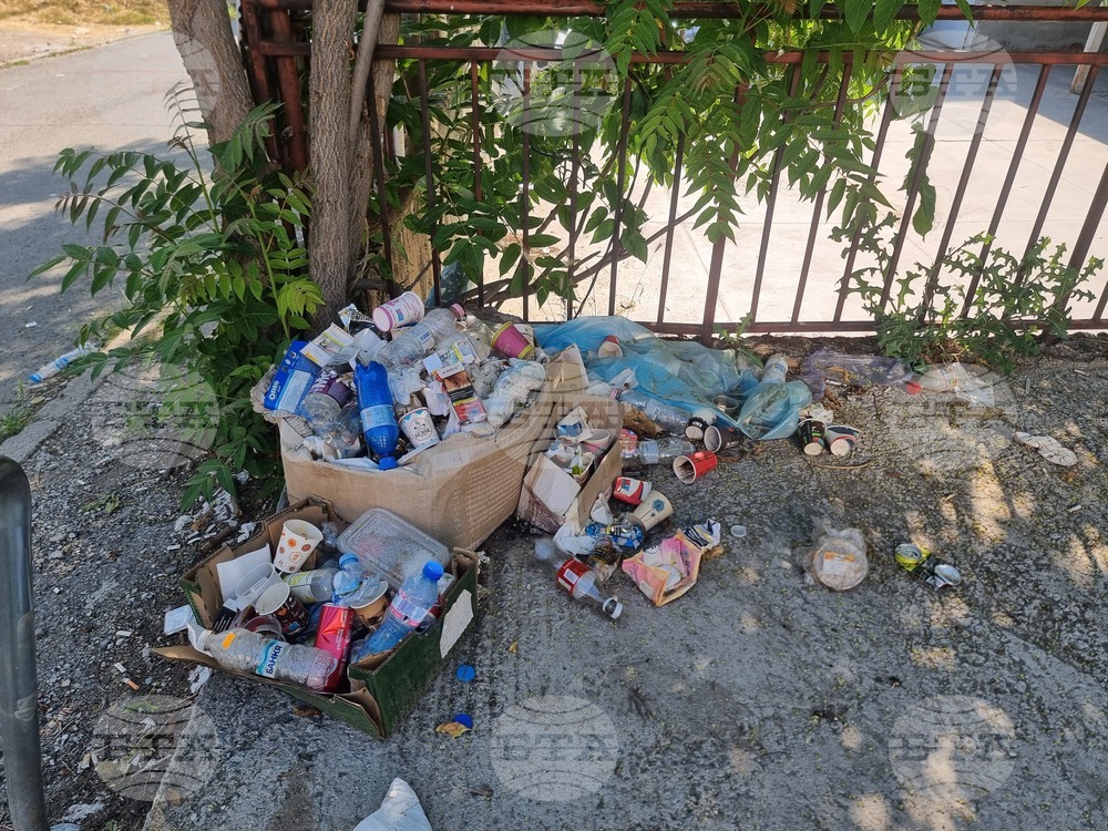 Стара Загора - акция - почистване