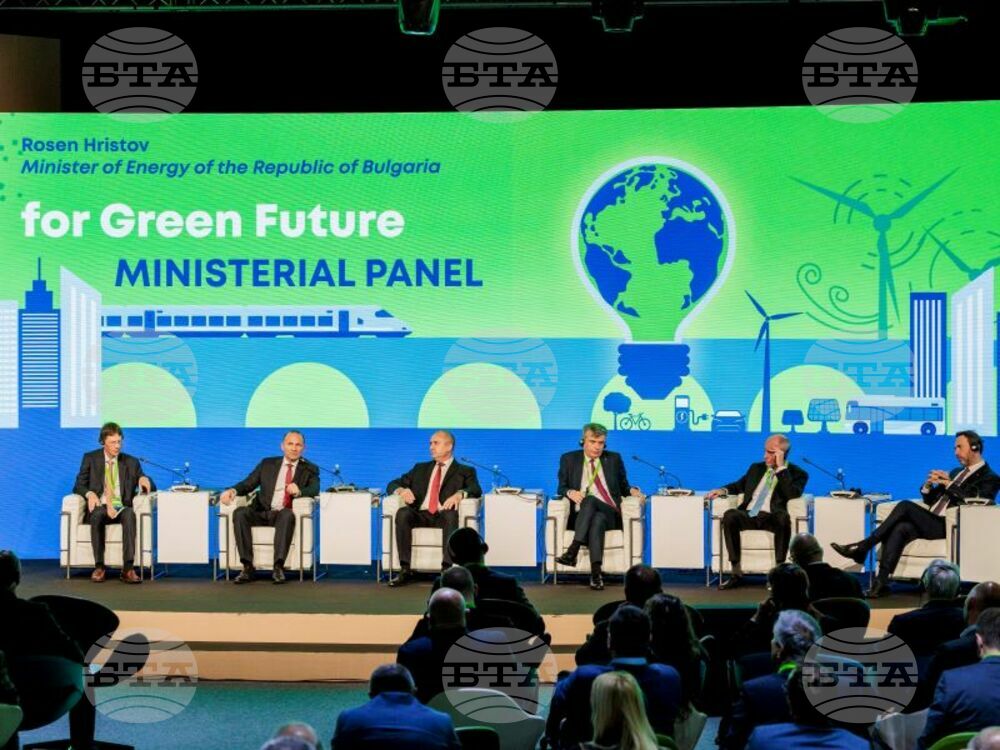 Experts Discuss New Energy Sector Challenges