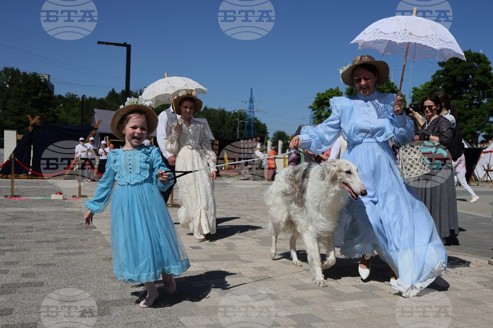 Russia Dog Show
