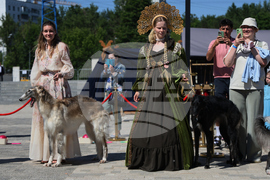 Russia Dog Show