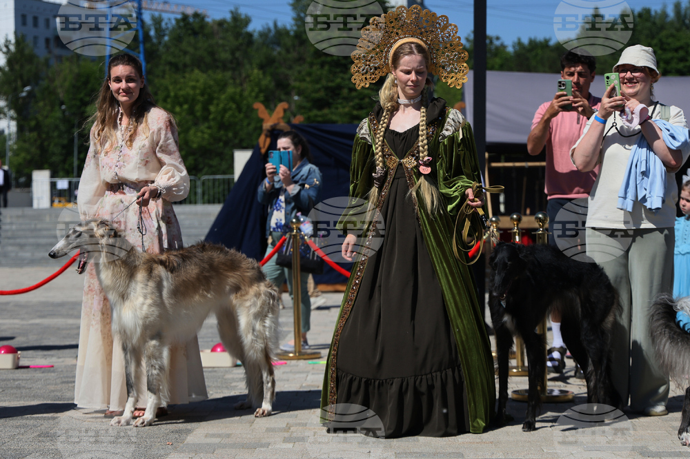 Russia Dog Show