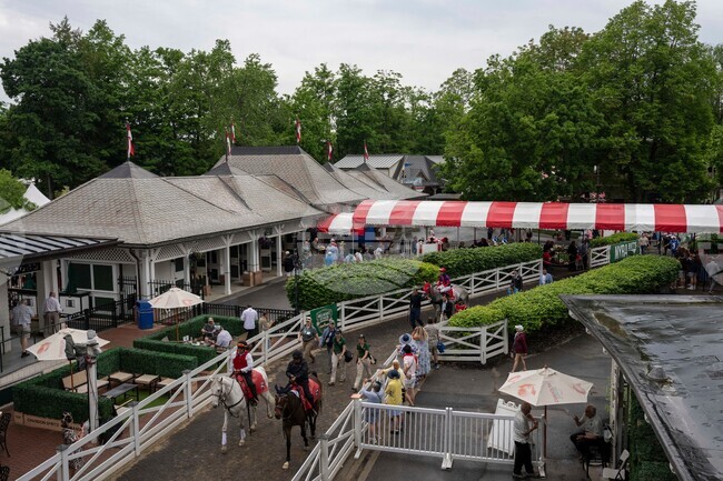 Belmont Stakes Horse Racing
