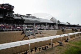 Belmont Stakes Horse Racing