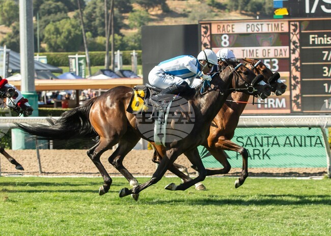 Santa Anita Horse Racing
